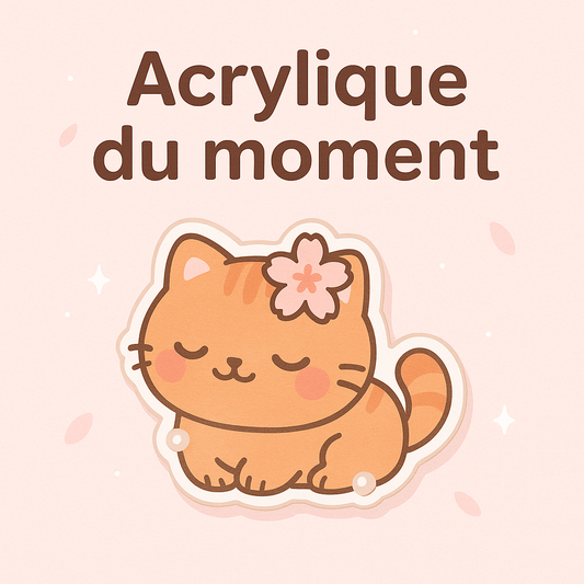 ✨ Acrylique Kawaii
